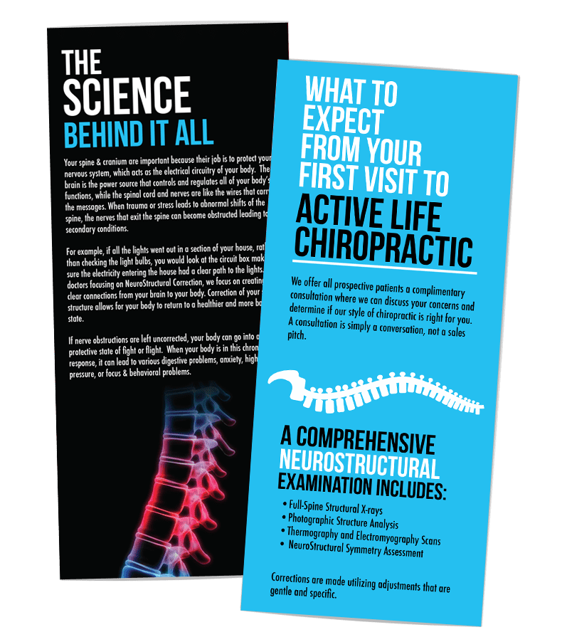 acrive life chiropractic trifold creative 7 designs marketing